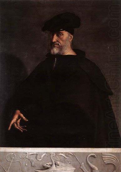 Sebastiano del Piombo Portrait of Andrea Doria china oil painting image